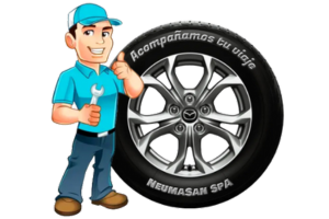 Neumasan SpA
